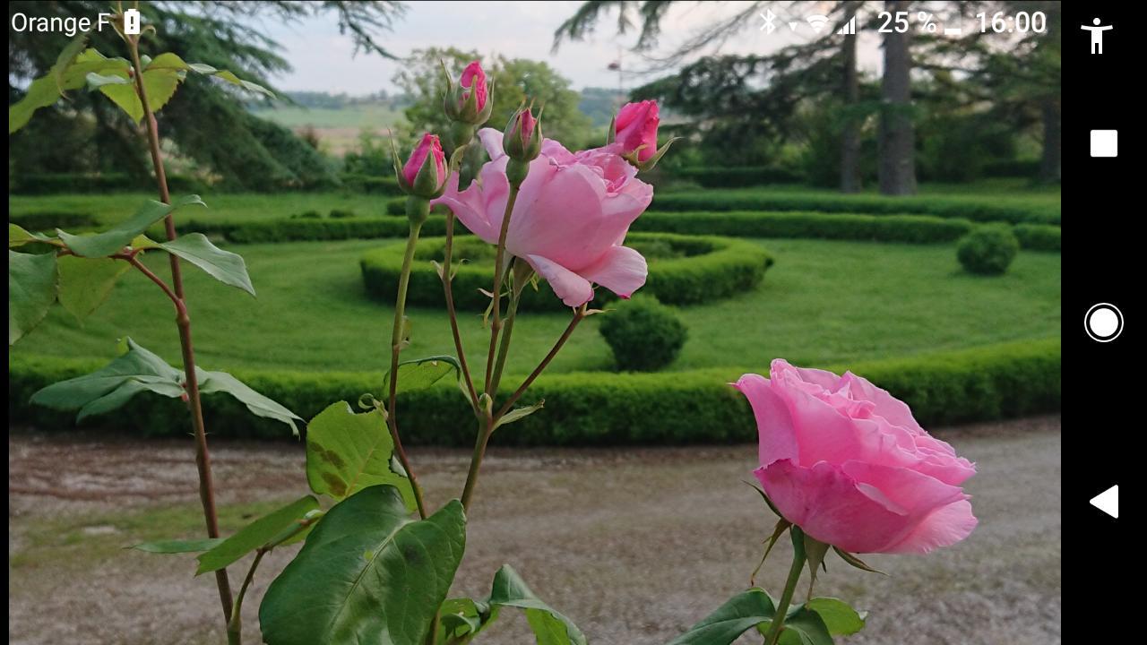 Chateau De Clermont-Saves Bed and Breakfast LʼIsle-Jourdain Eksteriør billede